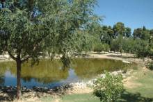 Quebradilla 1
