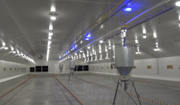 Interior de una nava de Aviagen que tiene granjas por todo el mundo/ Aviagen interior nave aviagen