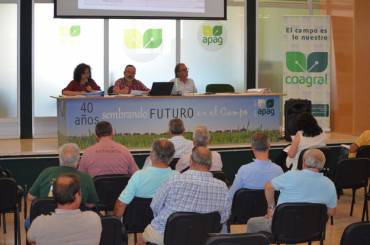 APAG Asambleas junio 2026 13 1