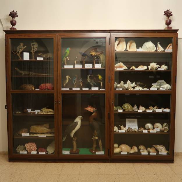 Coleccion Ciencias Naturales 4
