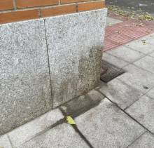 Los orines de los perros ensucian las fachadas y son molestos. Pis 1