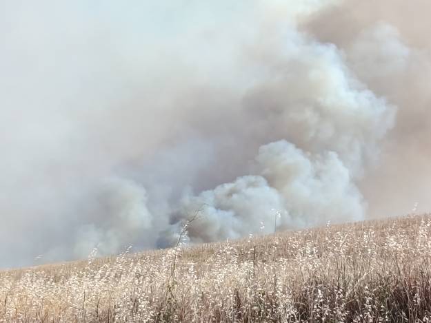 incendio malaguilla julio 2026 Clemente Martin Prieto