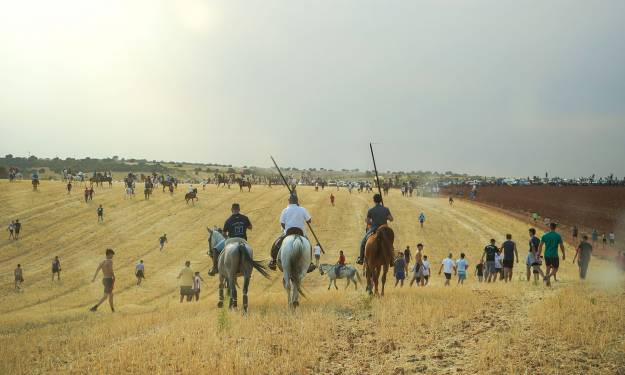 Encierro por el campo cabanillas 2026 1-15