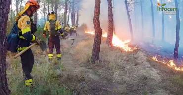 Incendio de La Mierla Bosque Infocam