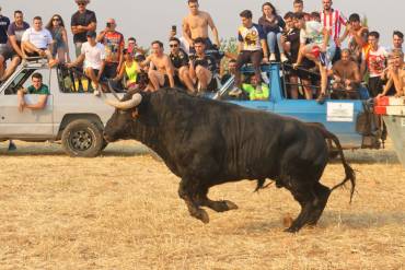 encierro 2026 por el campo cabanillas