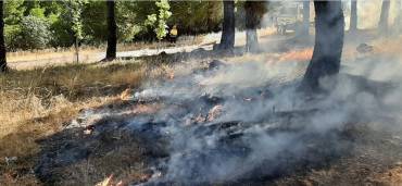Ya solo se registran pequeños focos en los pinares de Condemios, que son atajados por el personal de extinción que permanece en la zona./Infocam. Incendio-Condemios