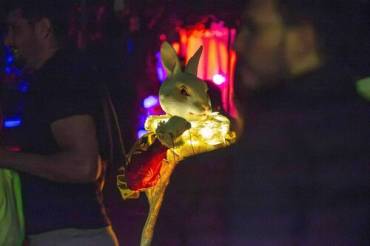Conejo Luz 1