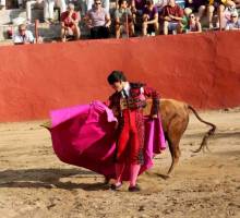 Pareja Toros