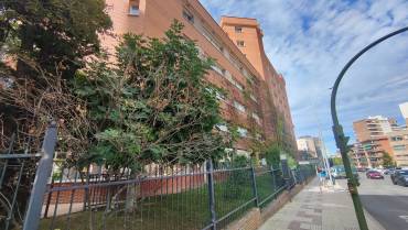 residencia los olmos