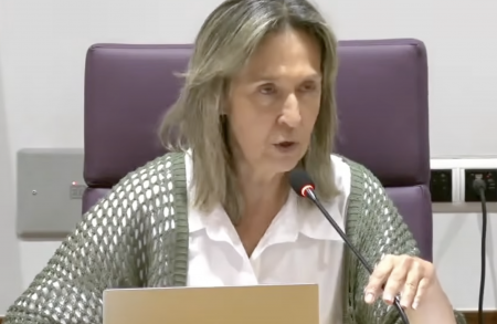 Ana Guarinos pleno