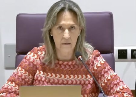 ana guarinos debate estado ciudad 